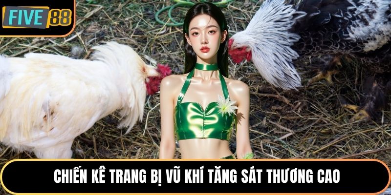 Chiến kê trang bị vũ khí tăng sát thương cao