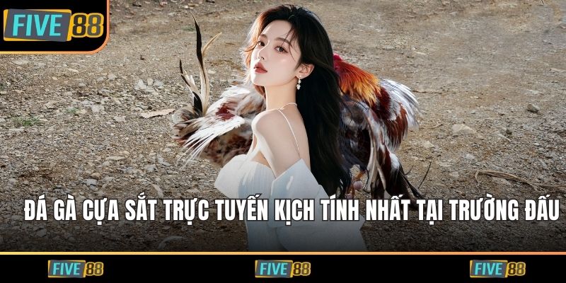 Đá gà cựa sắt