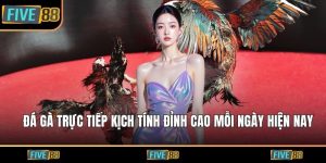 Đá gà trực tiếp