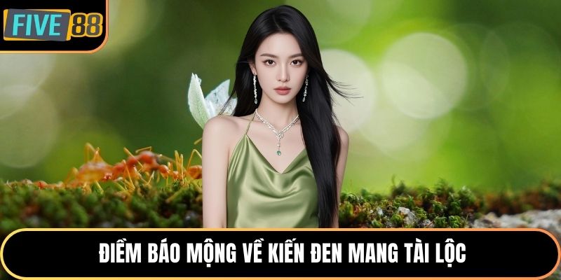 Điềm báo mộng về kiến đen mang tài lộc