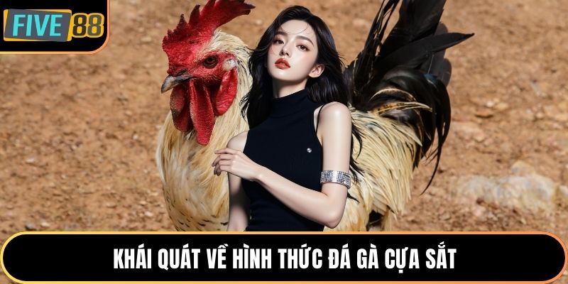 Khái quát về hình thức đá gà cựa sắt