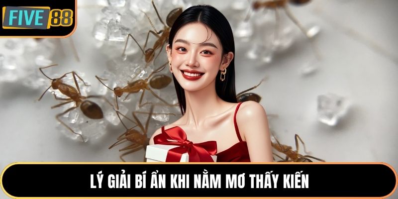 Lý giải bí ẩn khi nằm mơ thấy kiến