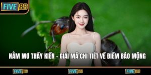Nằm mơ thấy kiến