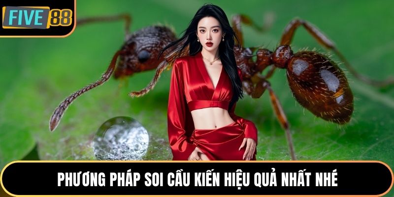 Phương pháp soi cầu kiến hiệu quả nhất nhé